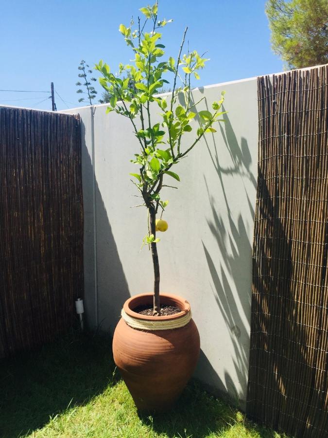 Los Tilos Alcoceber Ngoại thất bức ảnh